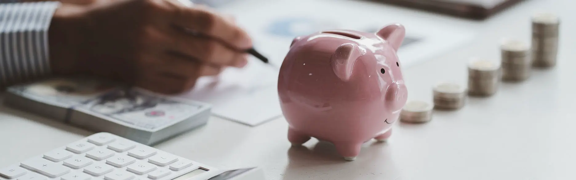 CONSULENZA PROFESSIONALE